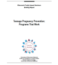E-Book : Teenage Pregnancy Prevention : Programs That Work